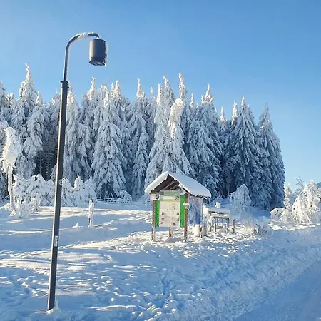 Lejlighed Haus Schneider Winterberg