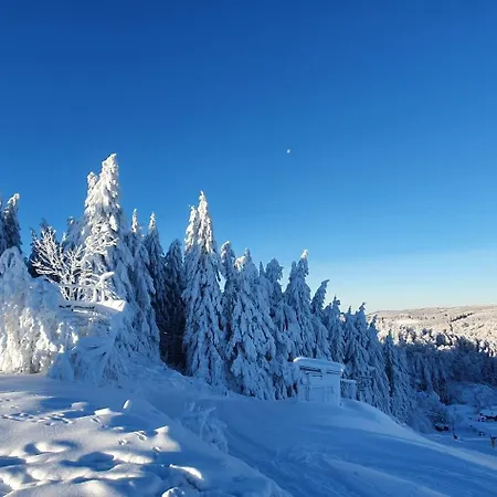 Haus Schneider ווינטרברג