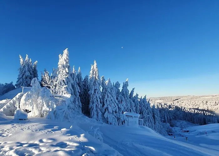 Haus Schneider وينتربرغ