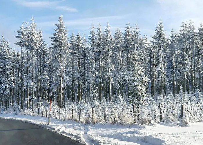 شقة Haus Schneider